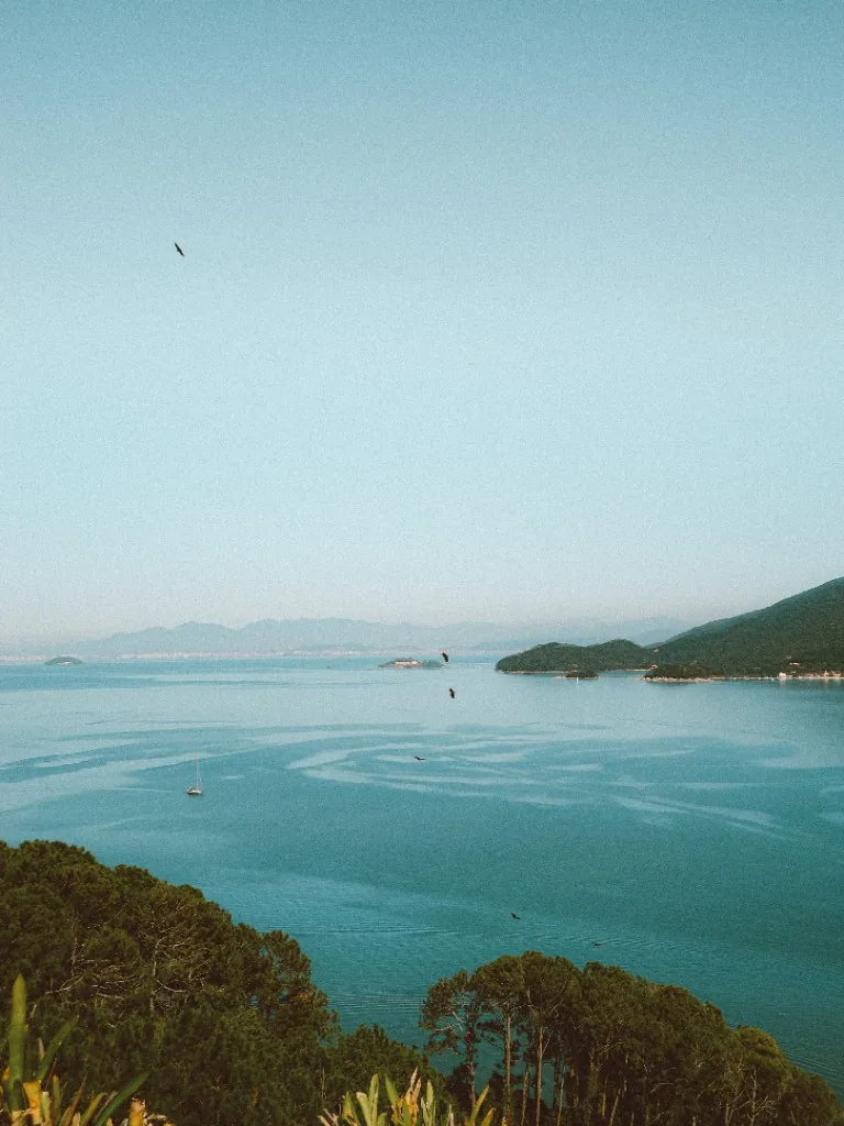 Vista tranquila junto ao mar
