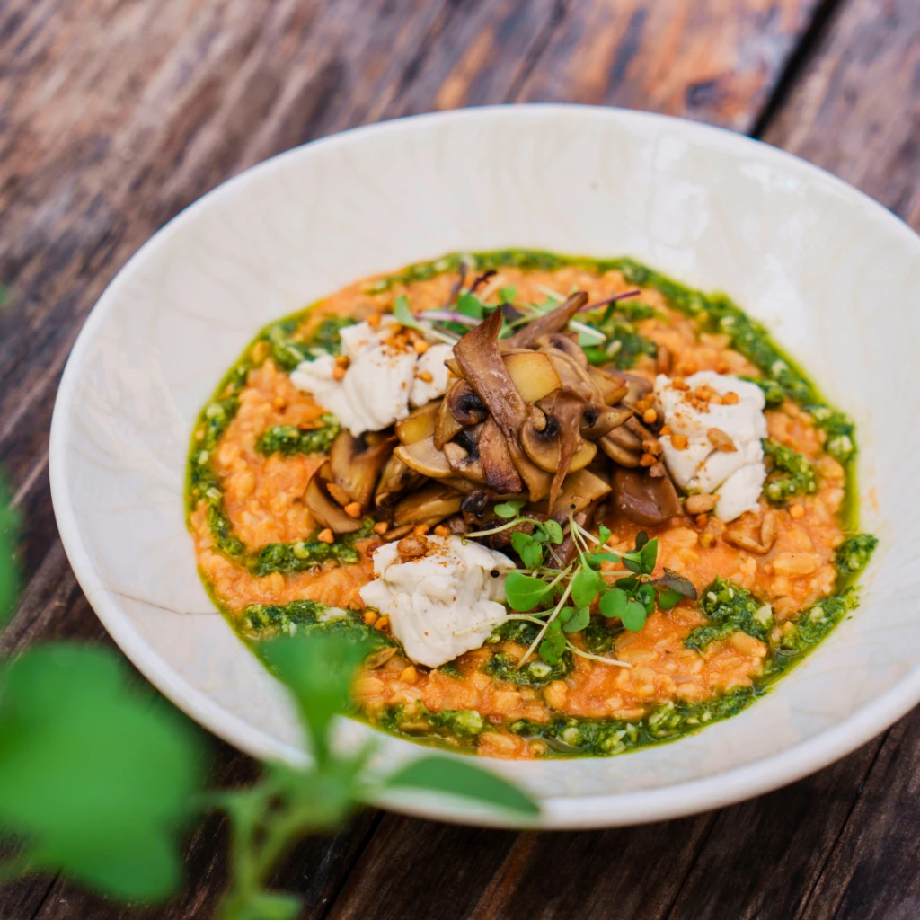 Risotto de tomate com pesto, cogumelos e burrata vegan